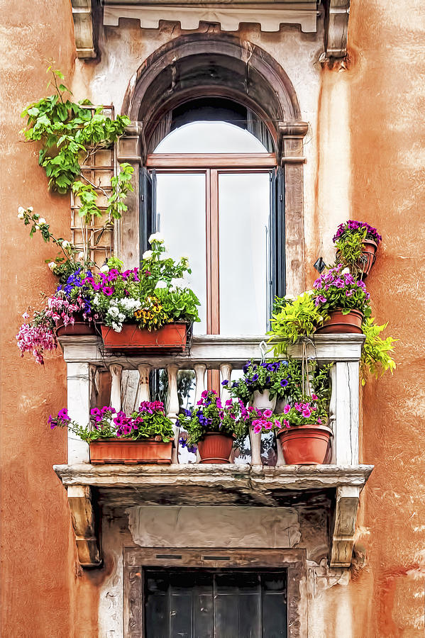 Balcony Garden Photograph by Maria Coulson