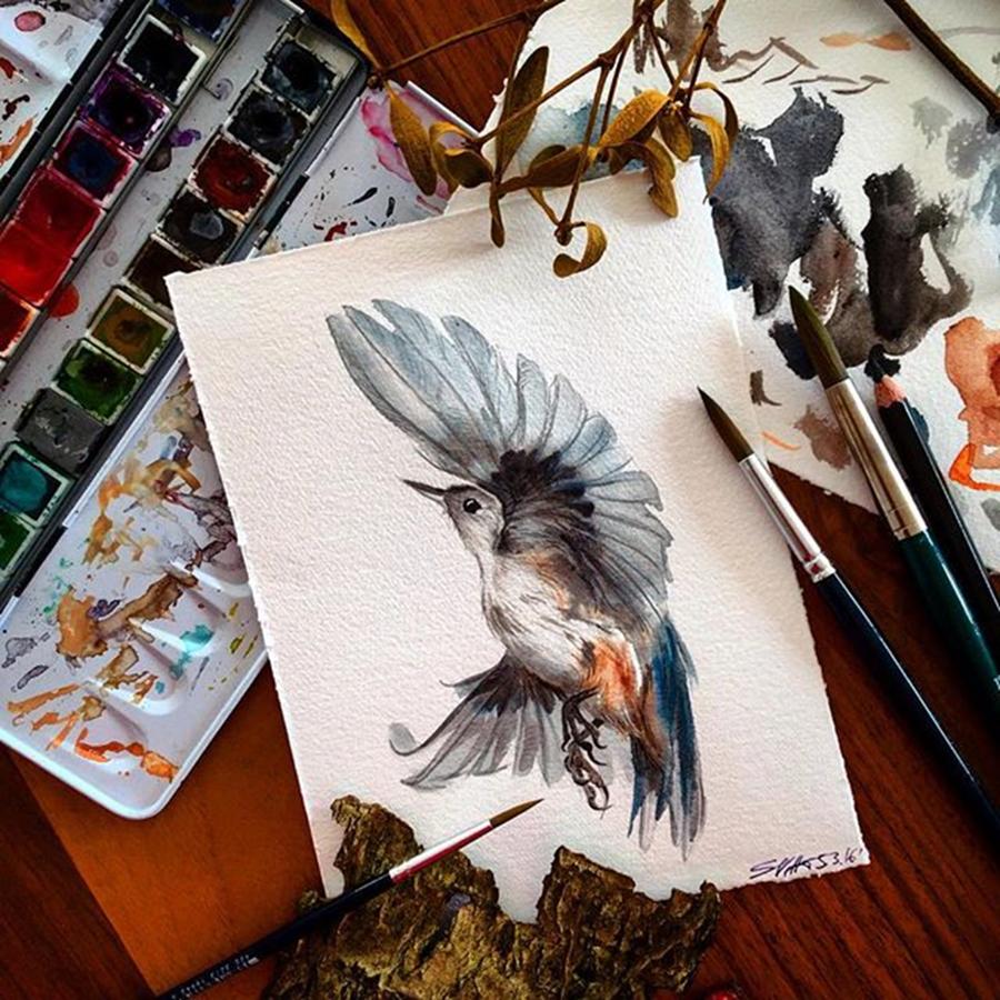Bird Photograph - Small Flying Bird - Wer Hat Early Bird by Svetlana Vetter