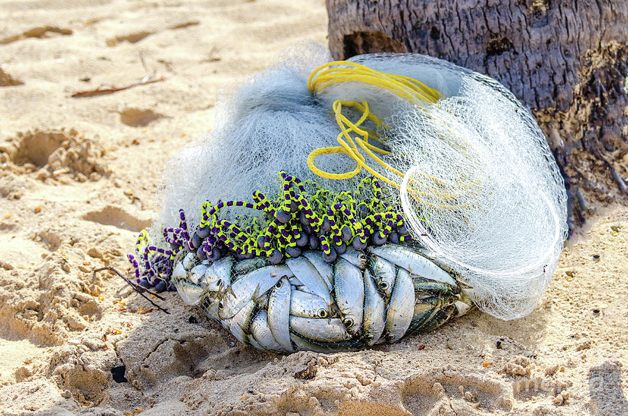 Fishing Net With The Catch Lies On The Yellow Sand In The