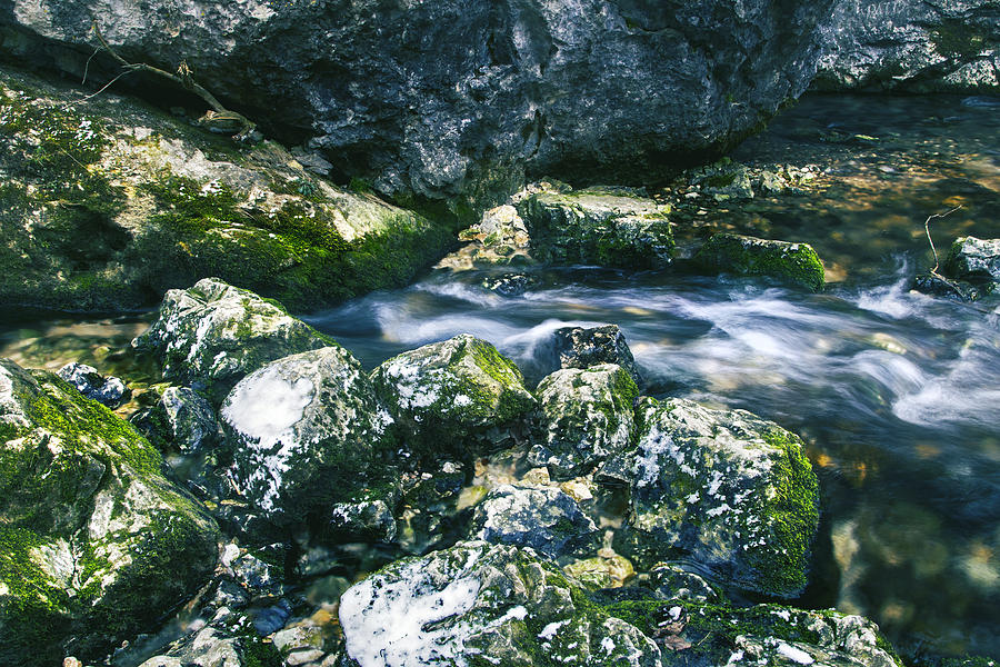 Beautiful river in forest Photograph by Sandra Rugina - Fine Art America