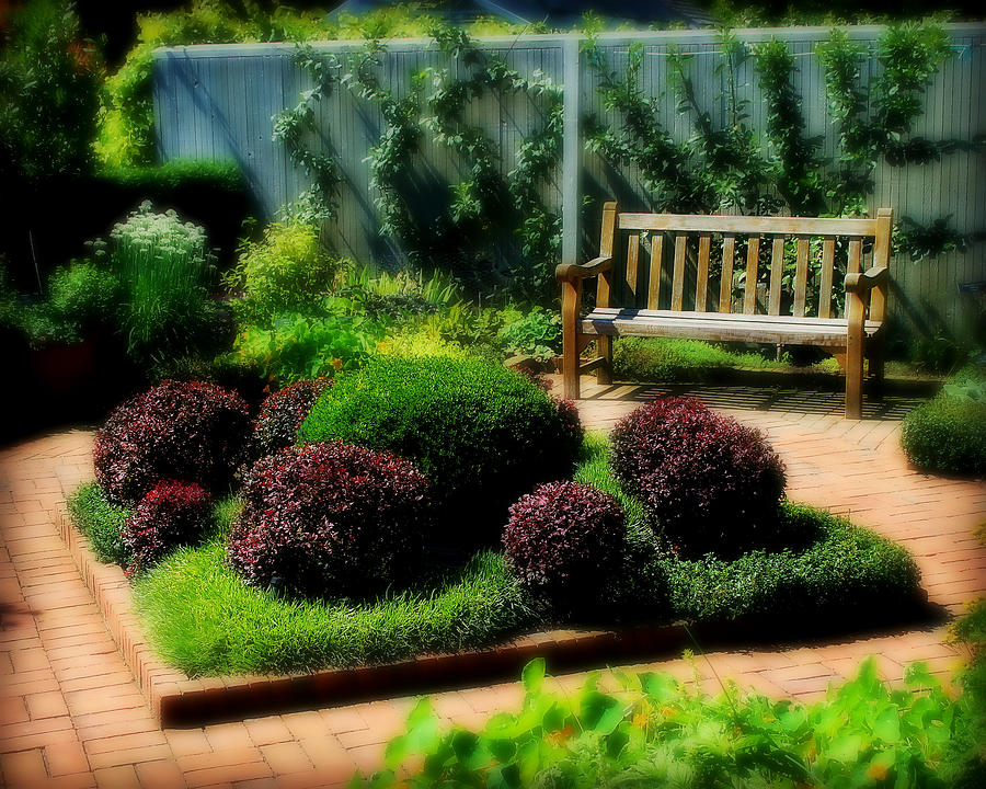Small Garden Photograph by Perry Webster