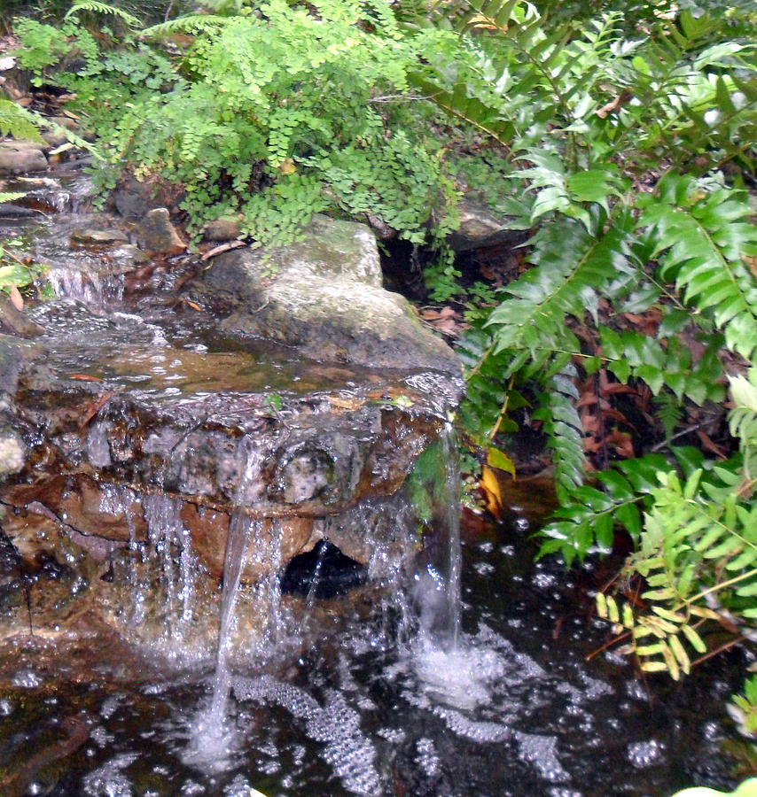 Small Garden Waterfall Photograph by Sheri McLeroy