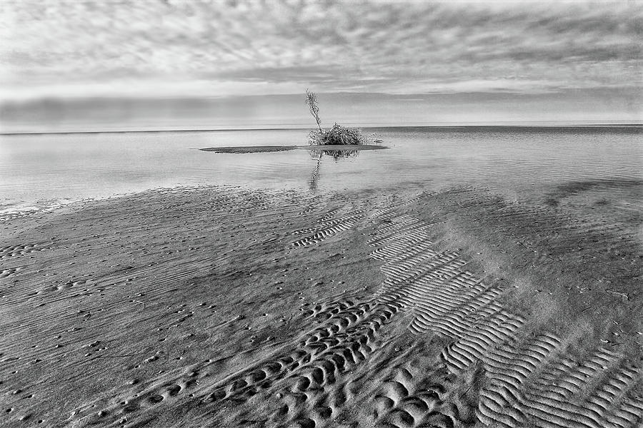 Small Island on the Outer Banks BW Photograph by Dan Carmichael