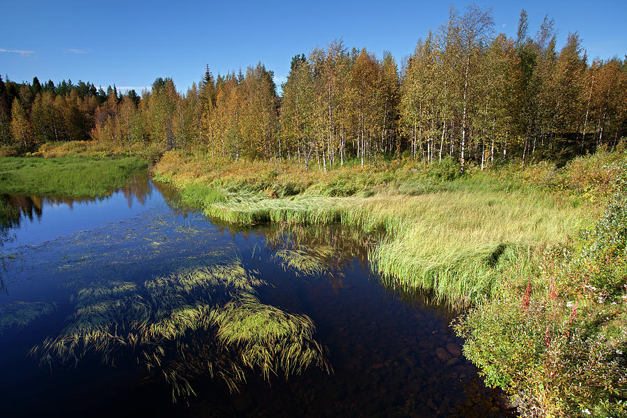 Small Lake in Levi Photograph by Aivar Mikko