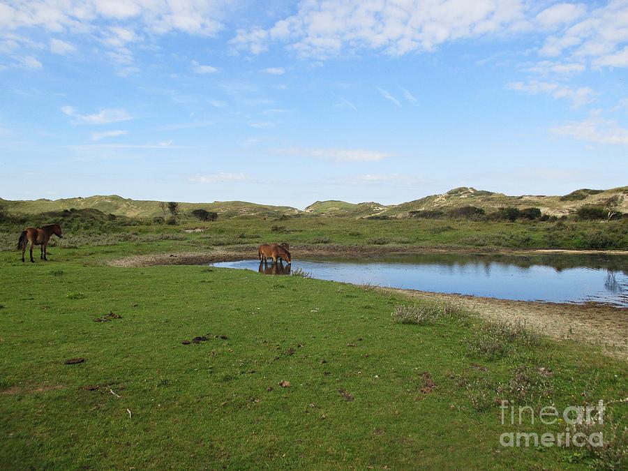 Small lake with wild horses Photograph by Chani Demuijlder