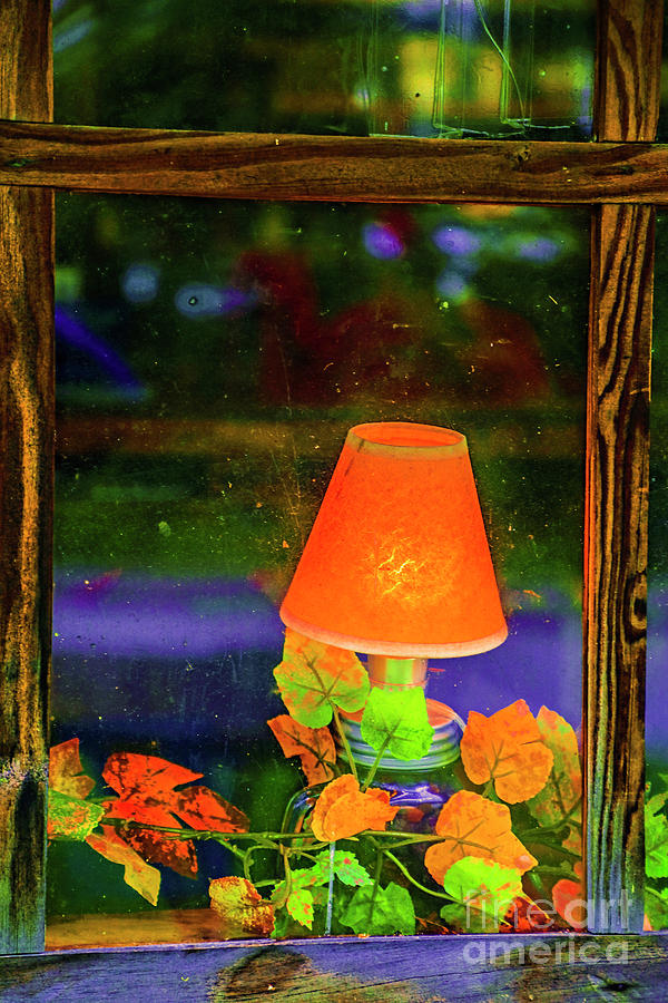 Small Lamp Photograph by Rick Bragan