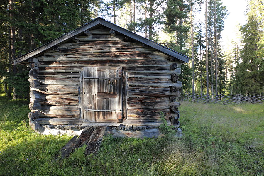 Small log cabin on a forest glade Photograph by Ulrich Kunst And Bettina Scheidulin