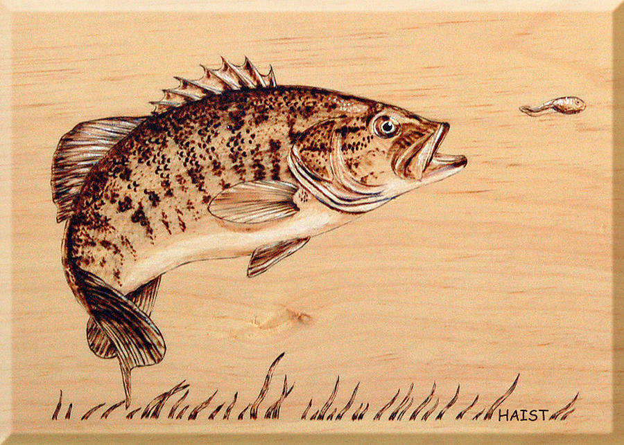 Small Mouth Bass Pyrography by Ron Haist