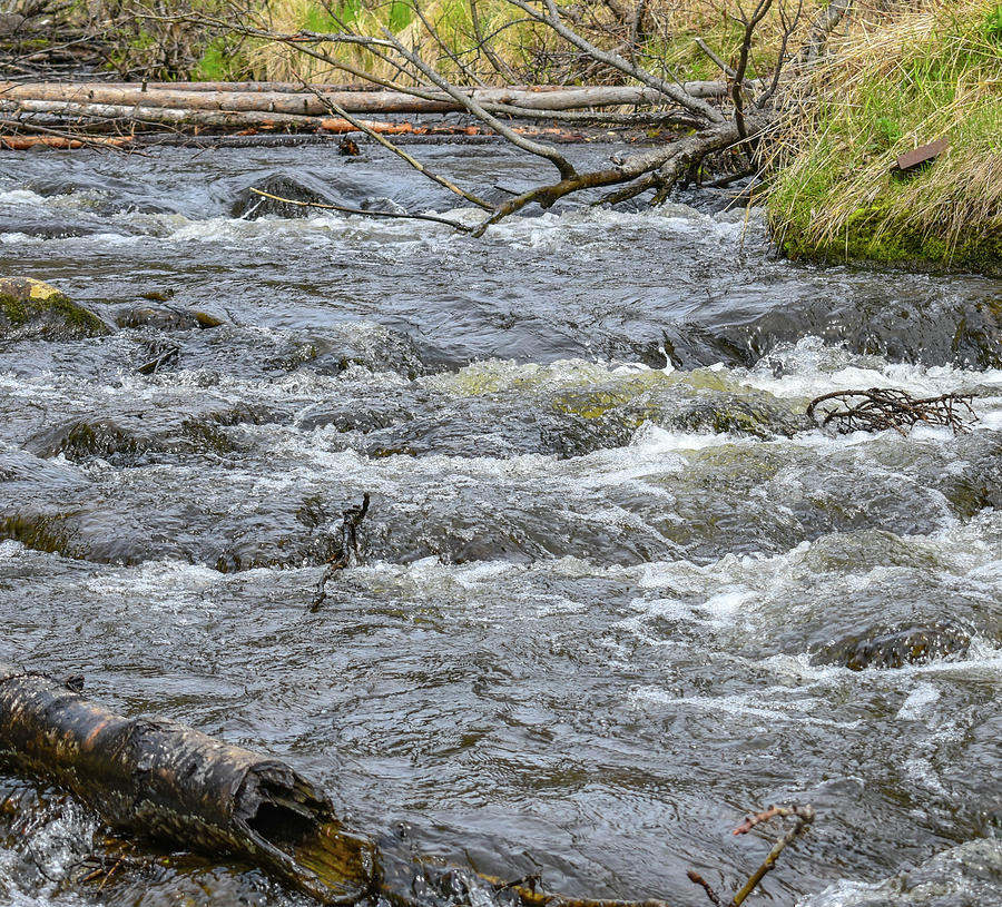 Kenai River Photograph - Small Rapids by Crewdson Photography Kenai River Photograph - Small Rapids by Crewdson Photography