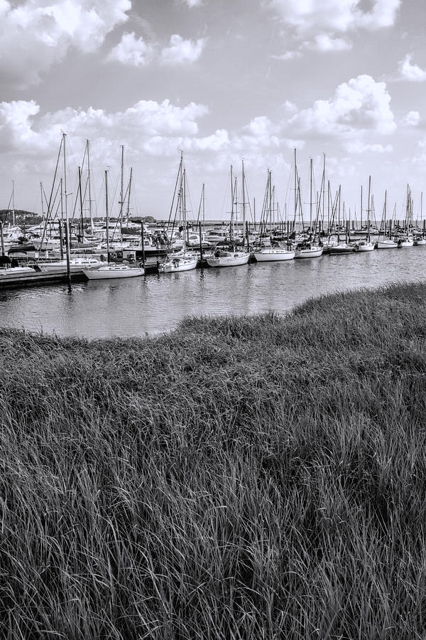 Small Sailboat Harbor Monochrome  Photograph by Kathy Clark