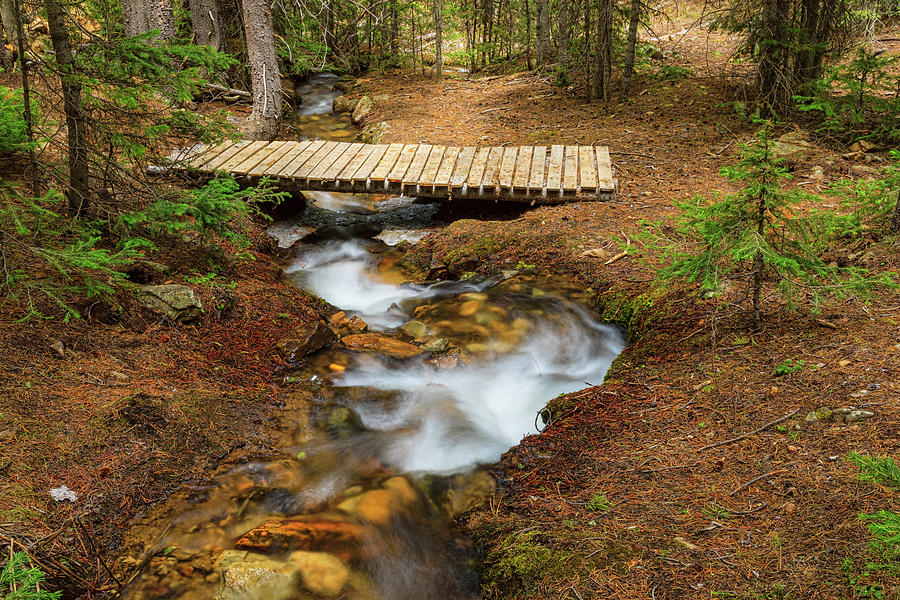 Small Stream Nature Walking Bridge Photograph by James BO Insogna