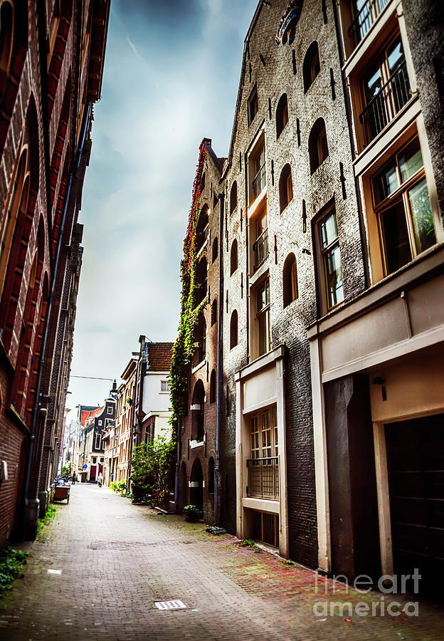 small street in Amsterdam Photograph by Ariadna De Raadt