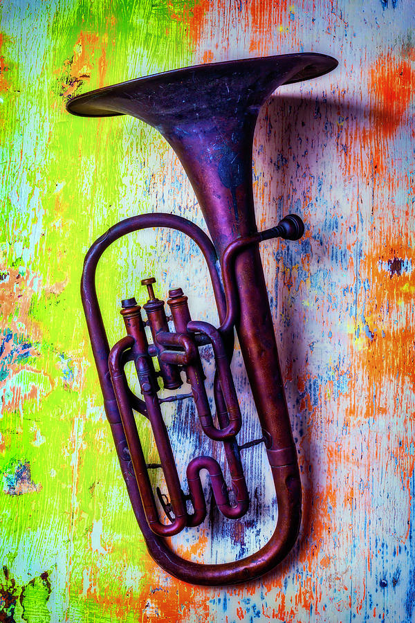Small Tuba Photograph by Garry Gay