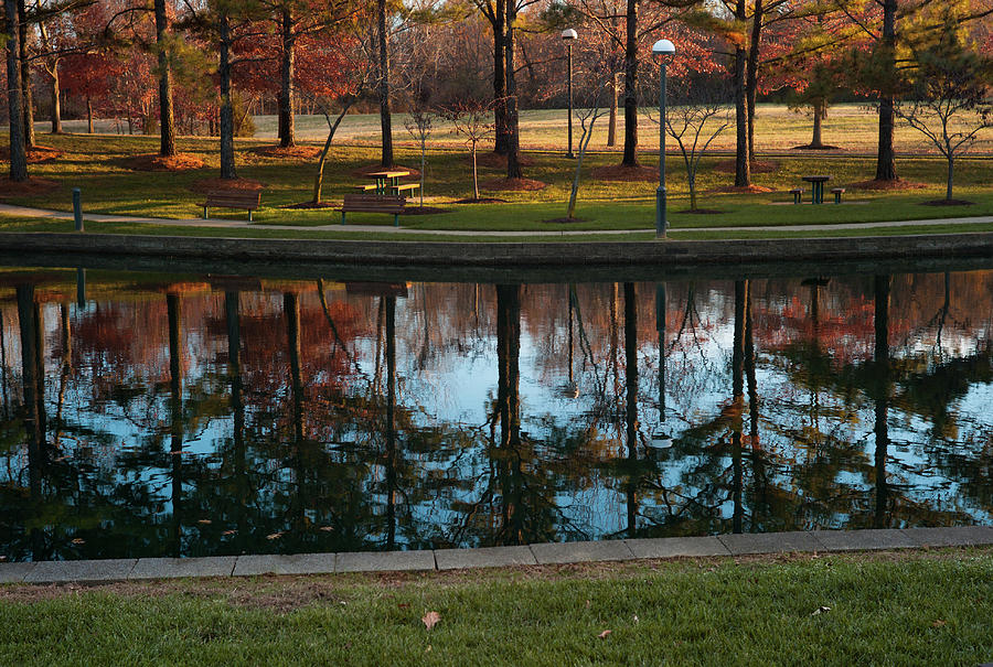 Small Urban Park Photograph by Steve Wile - Pixels