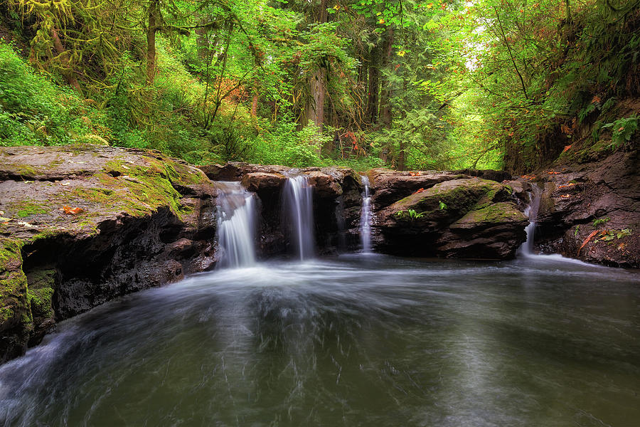 Small Waterfall at Rock Creek Photograph by David Gn
