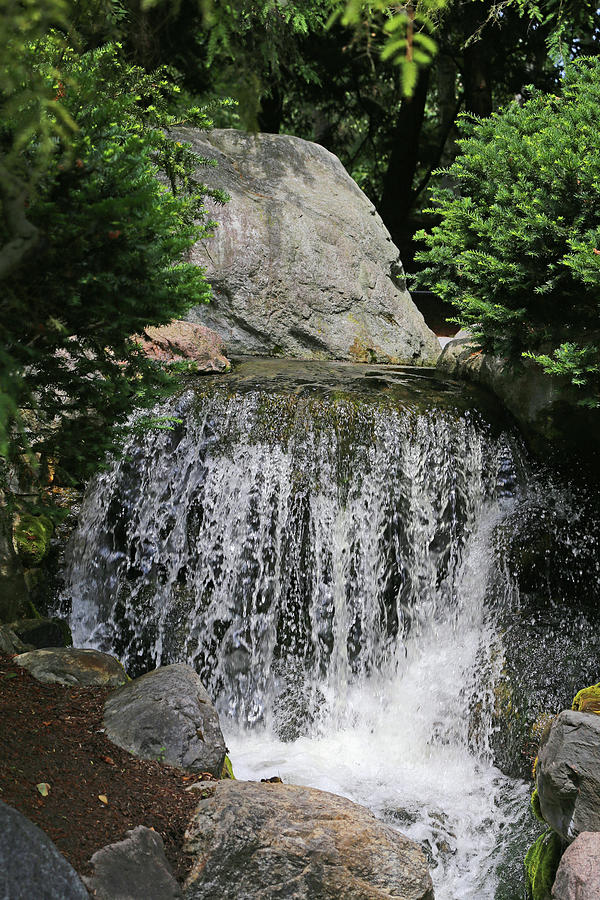 Small Waterfall Dow Gardens 062618 Photograph by Mary Bedy