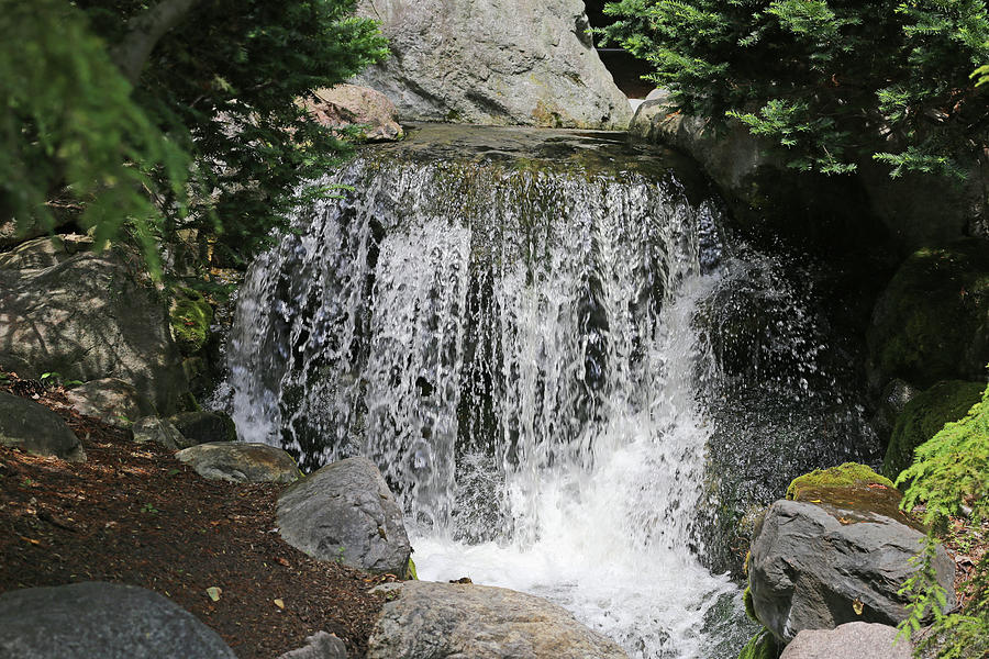 Small Waterfall Dow Gardens 2 062618 Photograph by Mary Bedy
