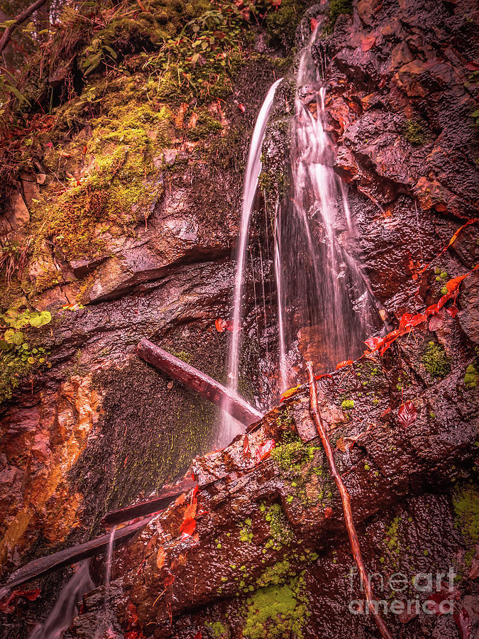 Small waterfall in the forest Photograph by Claudia M Photography