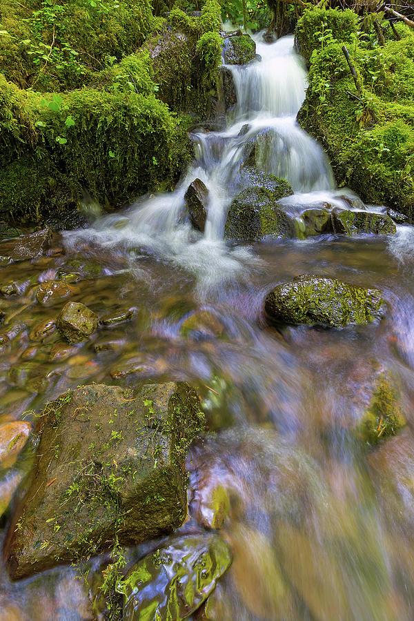 Small Waterfalls along Wahkeena Creek Photograph by David Gn