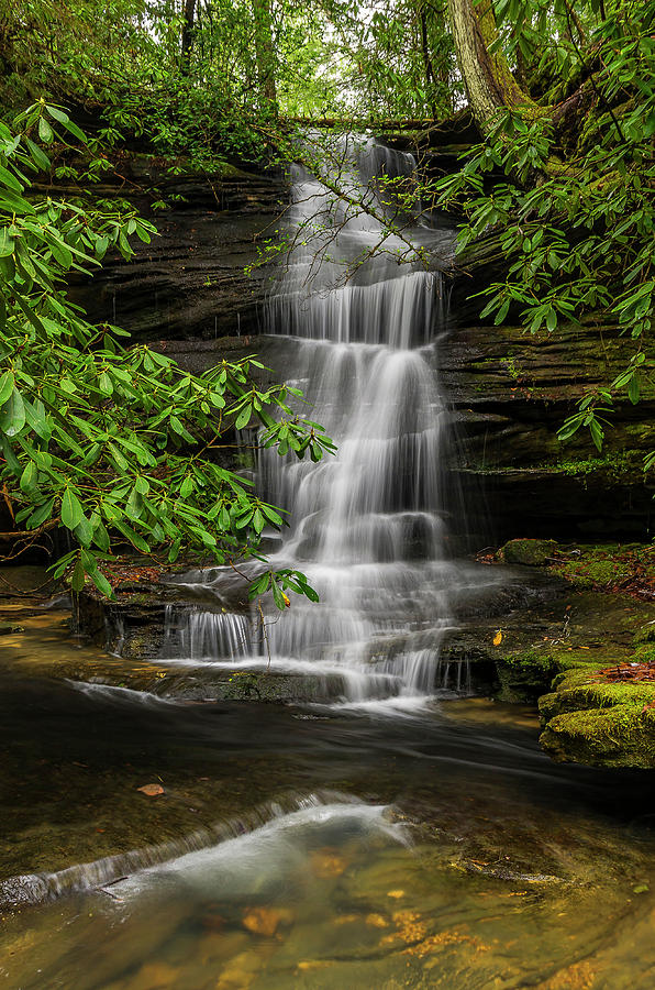 Small waterfalls in the forest. Photograph by Ulrich Burkhalter