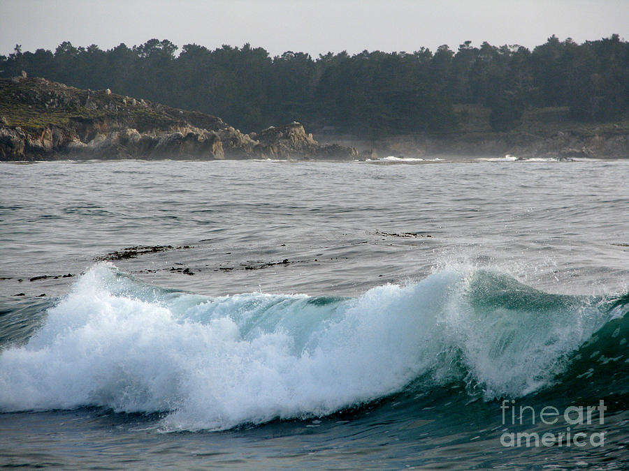 Small Wave on Carmel Bay Photograph by James B Toy