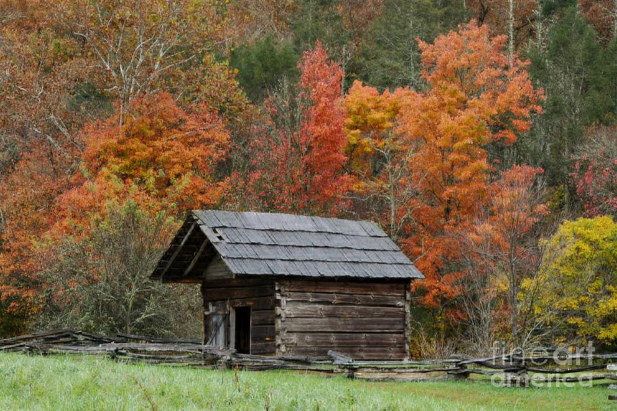 Small Wood Cabin In The Woods Photograph