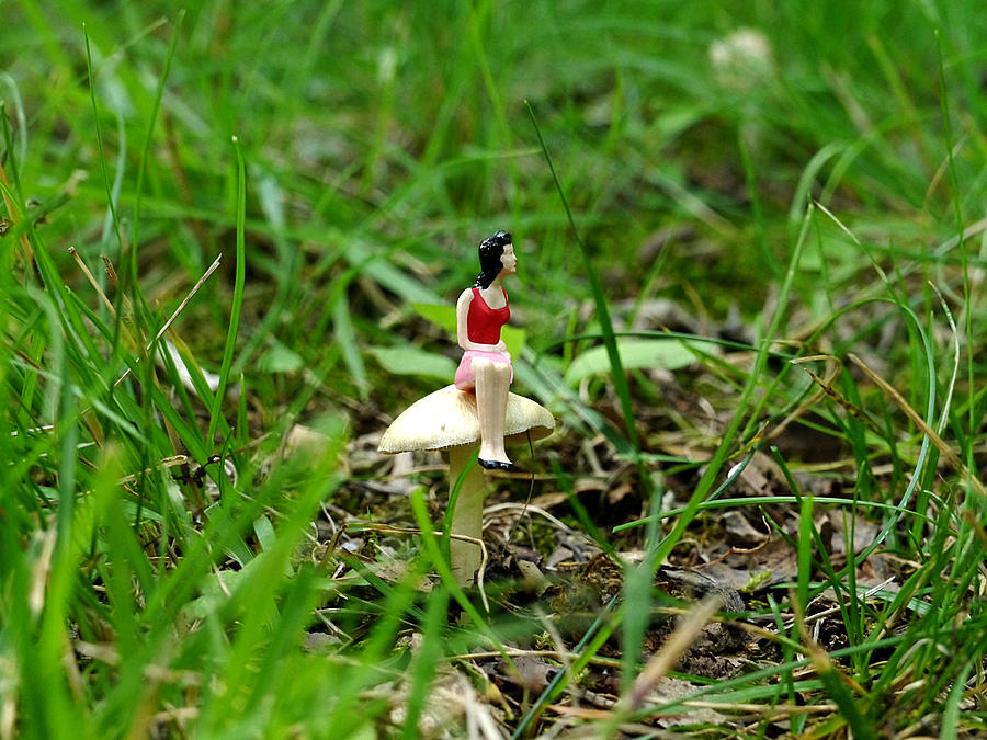 Small World - Waiting in the Woods Photograph by Richard Reeve