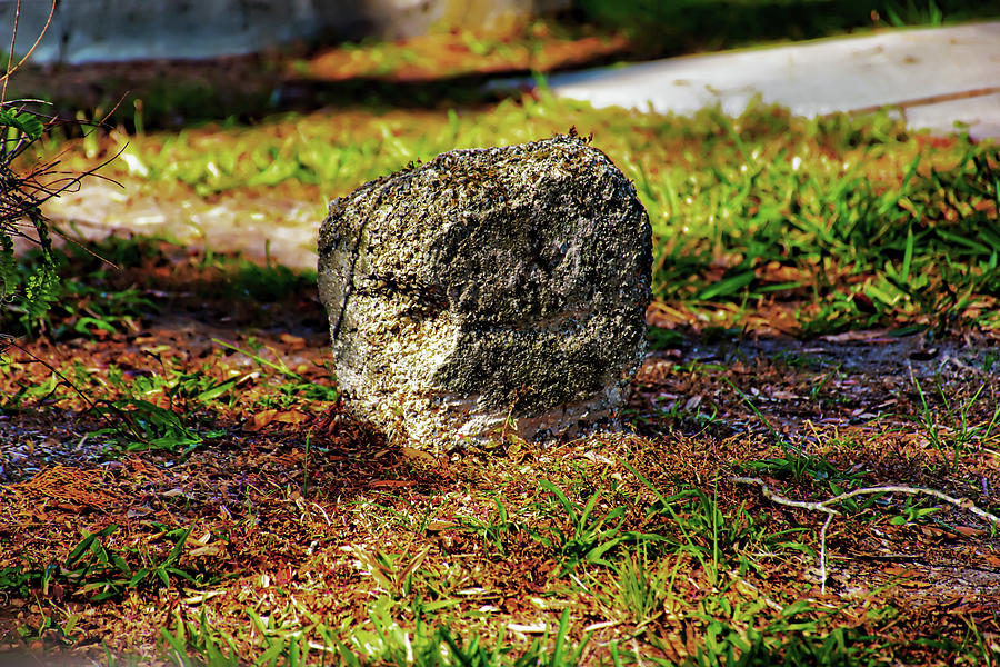 Smallest Headstone Photograph by Gina OBrien