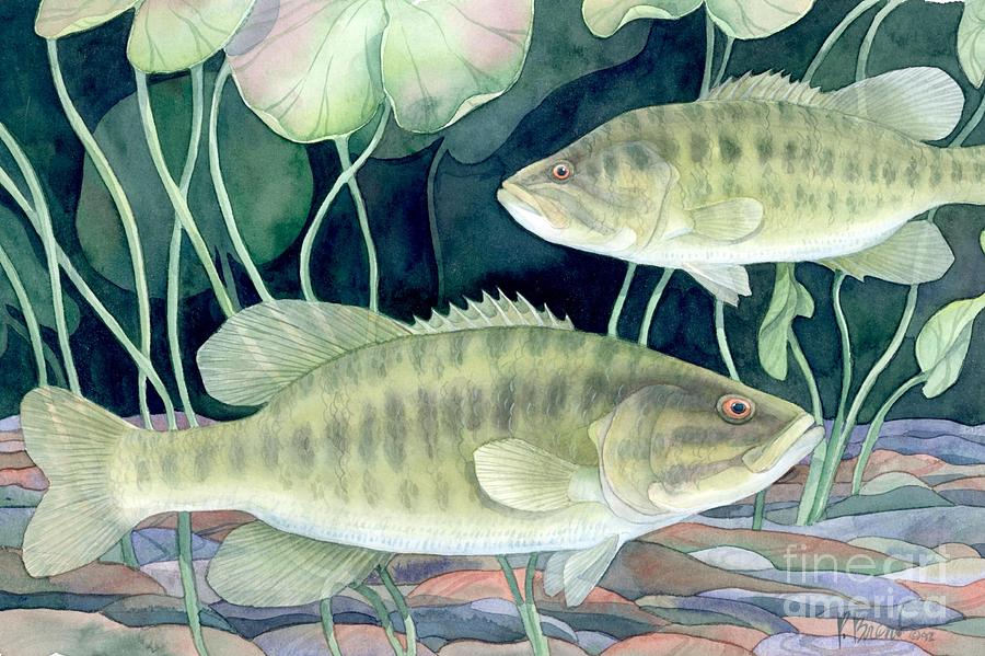 Fish Painting - Smallmouth Bass by Paul Brent