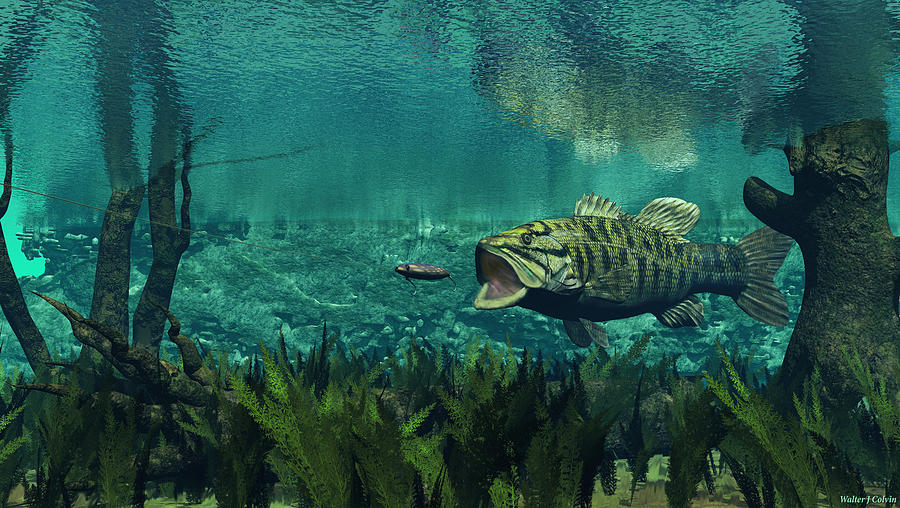 Fish Digital Art - Smallmouth Bass by Walter Colvin