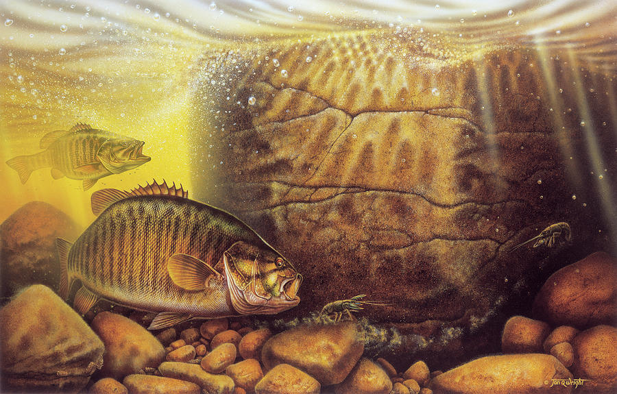 Bass Painting - Smallmouth River by JQ Licensing