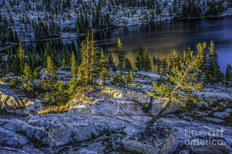 Yosemite National Park Photograph - Smedberg Glow  by Doug Scrima