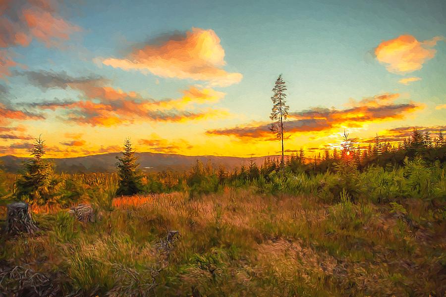 Smell Of Nature Photograph by RoseMaries Pictures