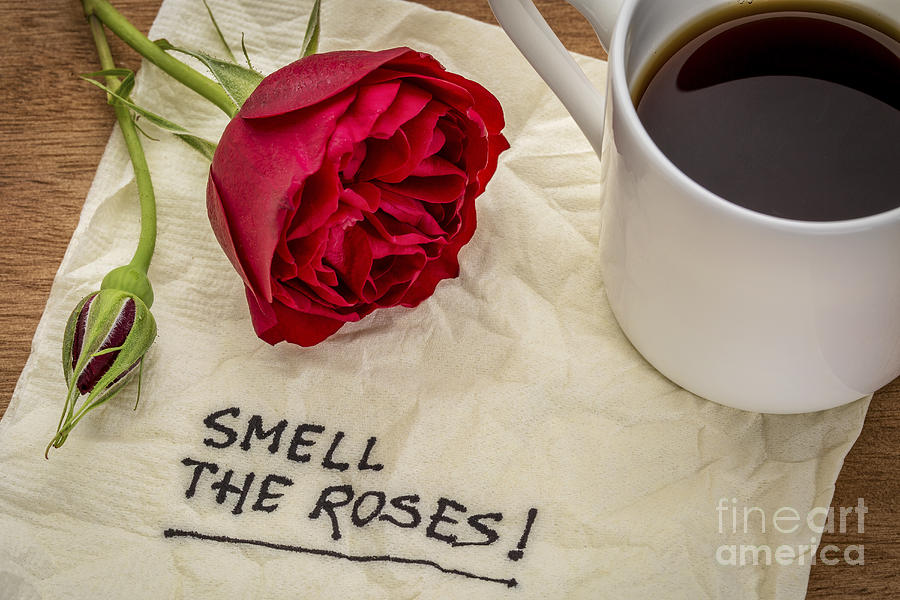 Smell The Roses Phrase On Napkin Photograph by Marek Uliasz