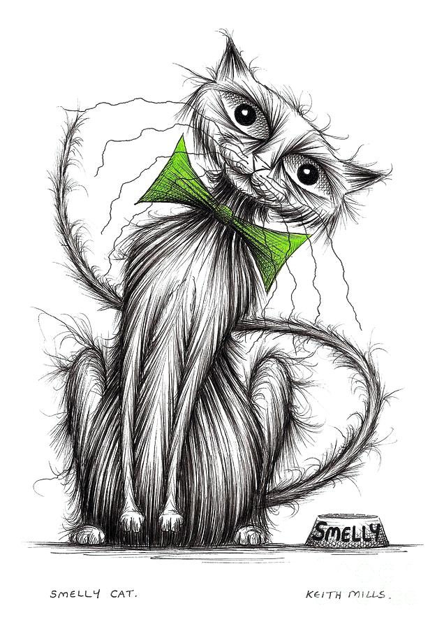 Smelly cat Drawing by Keith Mills