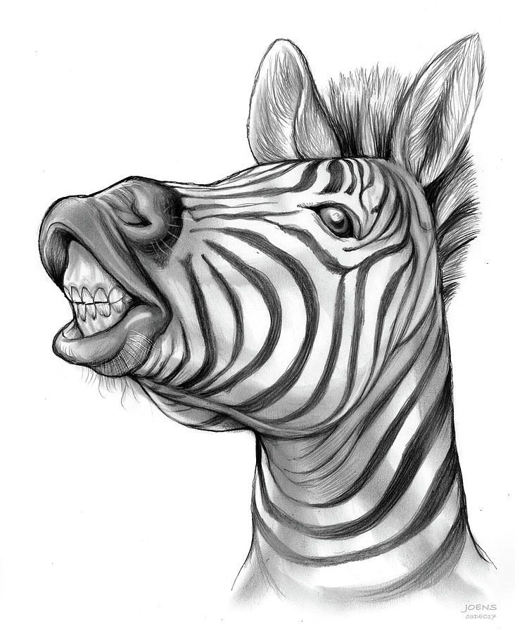 Zebra Drawing - Smile by Greg Joens