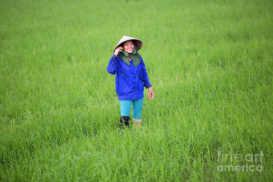 Smiles Rice Harvest Vietnam Girl  Photograph by Chuck Kuhn