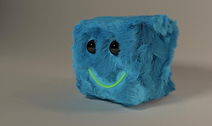 Smiley Fluff Box Photograph by Evan Burrows Fine Art America