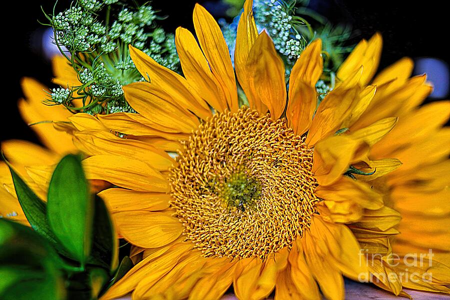 Smiling in Yellow Photograph by Diana Mary Sharpton