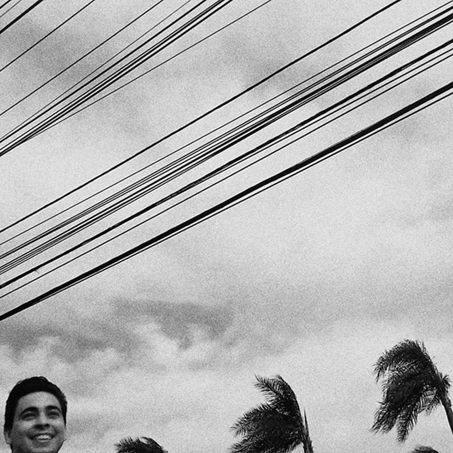 City Photograph - Smiling Palm Tree

#head #portrait by Rafa Rivas