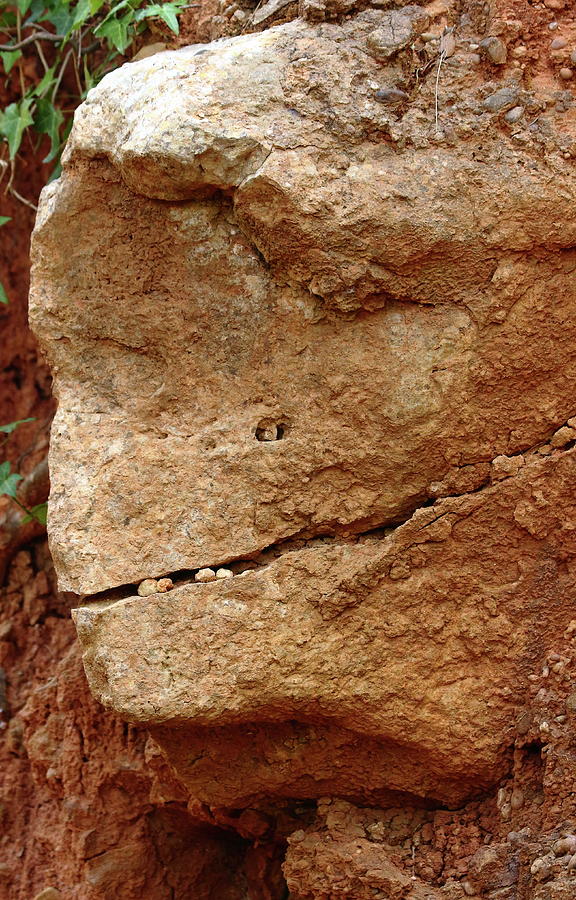 Smiling Rock Photograph by Jeff Townsend