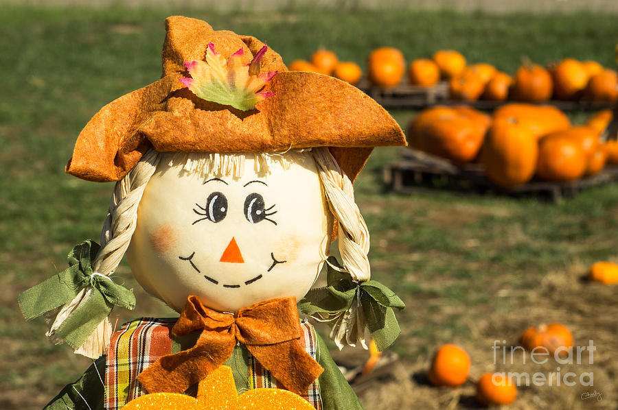 Smiling Scarecrow with Pumpkins Photograph by Imagery by Charly