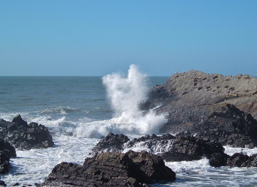 Wave Crashing Against Rocks Devon Photograph by Richard Brookes