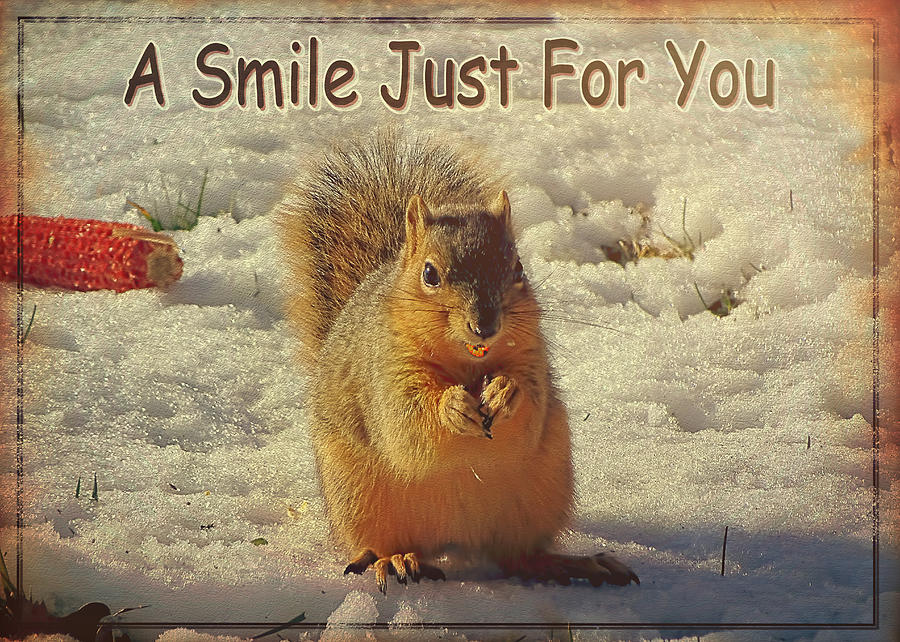 Smiling Squirrel Photograph by Theresa Campbell