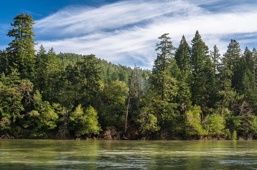 Smith River and Redwoods Photograph by Greg Nyquist