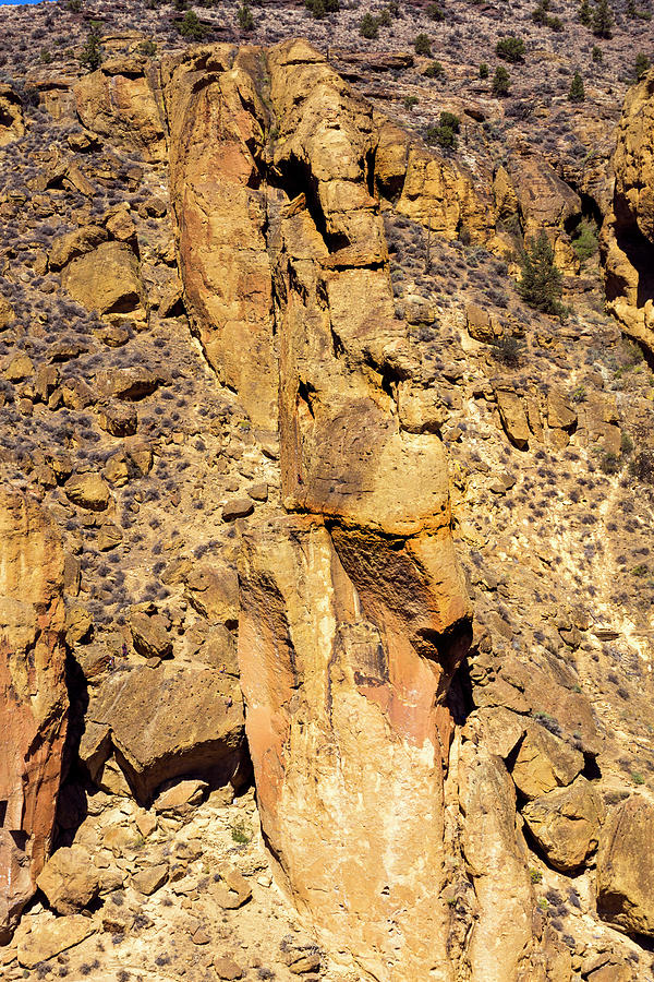 Nature Photograph - Smith Rock Faces by Tim Dussault