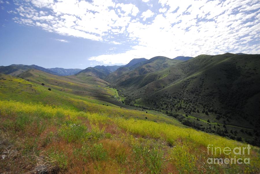 Smithfield Canyon Photograph by Donald Groves Pixels
