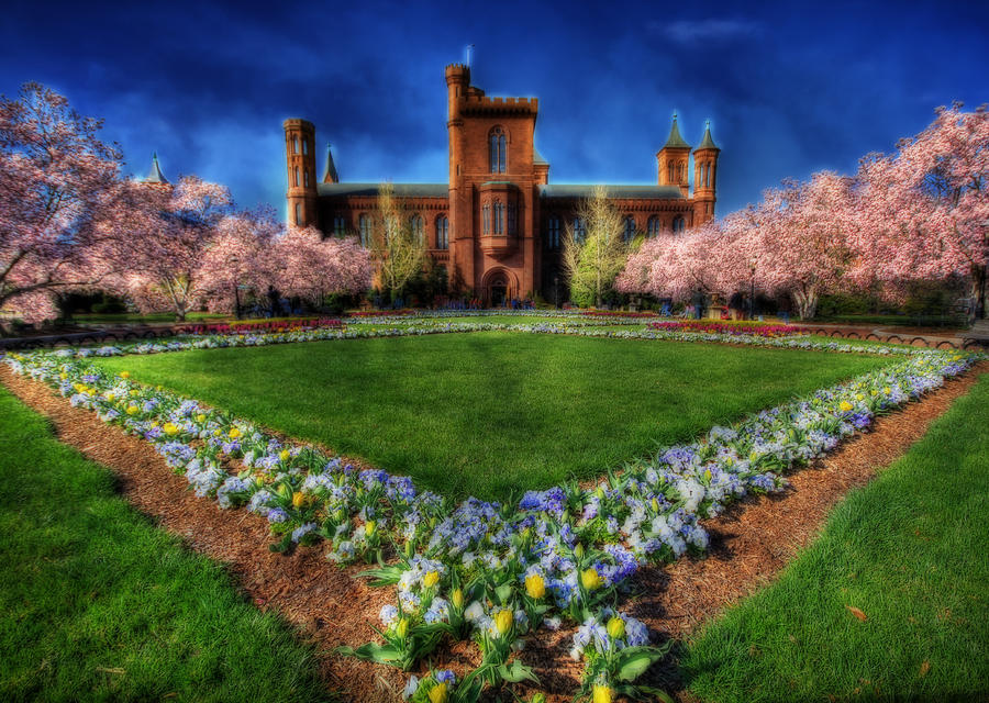 Spring Blooms In The Smithsonian Castle Garden Photograph