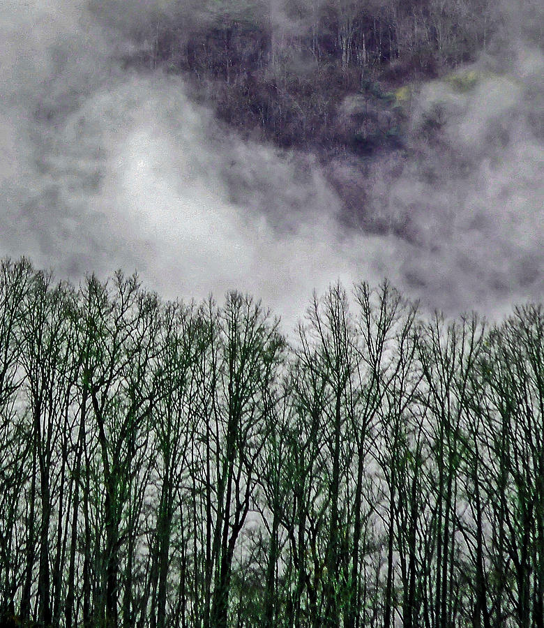 the tree of smoke the tree of smoke