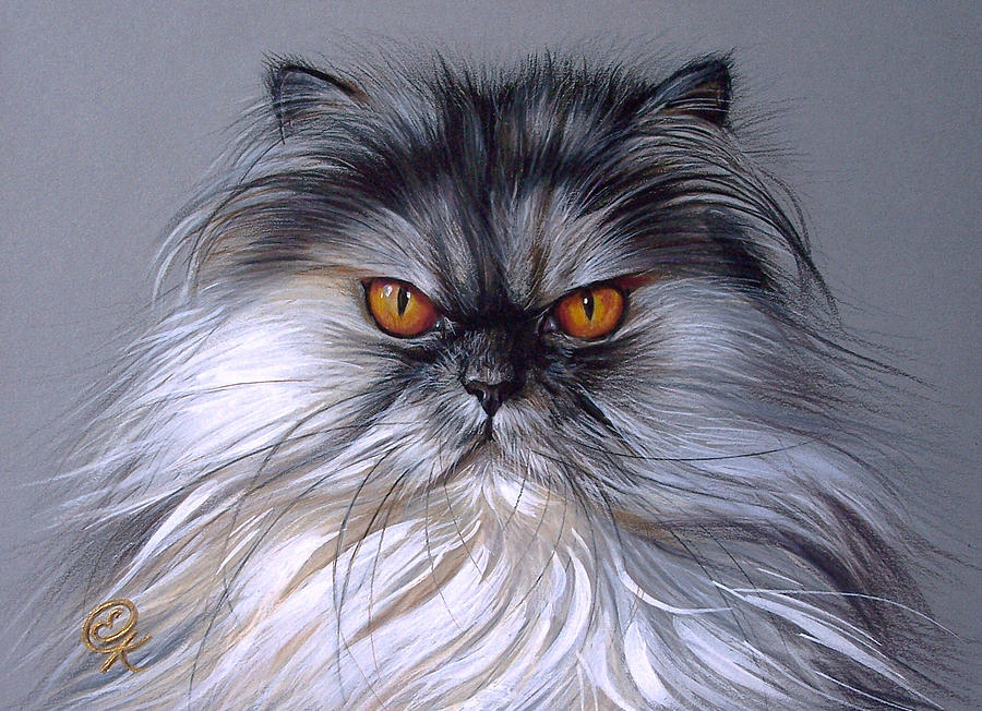 Cat Drawing - Smoke Persian by Elena Kolotusha